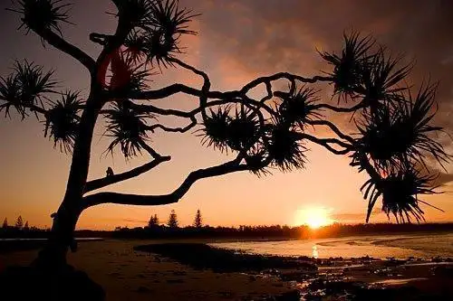 Fifth view of Homely land listing, Lot 409 Matthews Parade, Corindi Beach NSW 2456