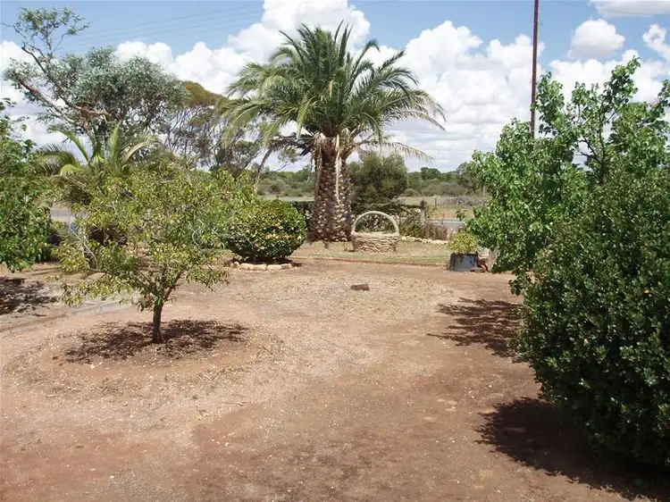 Fourth view of Homely house listing, 44 Swan Reach Road, Sedan SA 5353