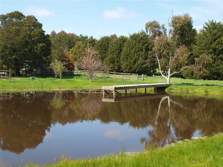 Fifth view of Homely house listing, 345 Sunday Creek Road, Broadford VIC 3658