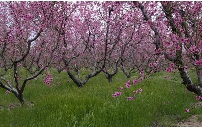 Main view of Homely rural property listing, Address available on request