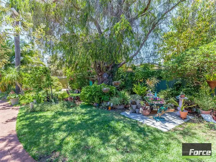 Fourth view of Homely house listing, 7 Macedon Place, Craigie WA 6025