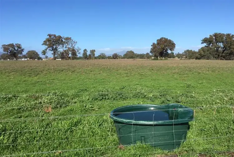 Fifth view of Homely rural property listing, 696 Ararat - St Arnaud Road, Crowlands VIC 3377