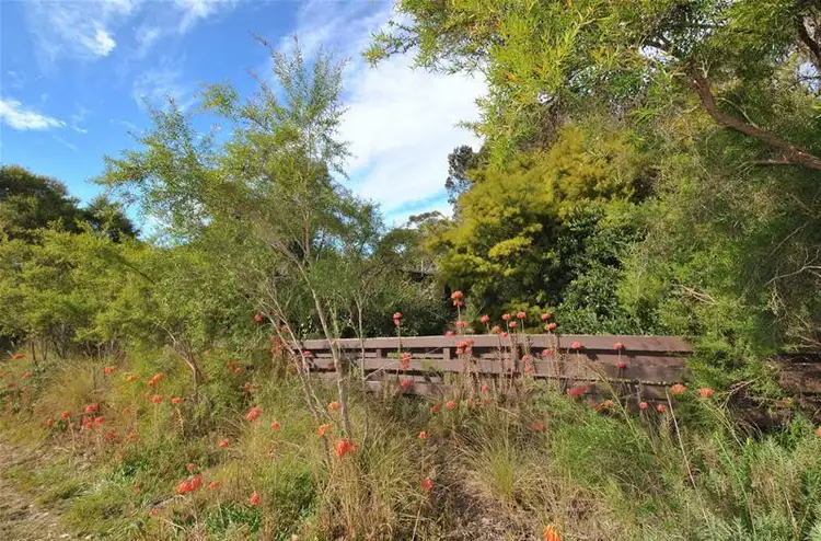 Main view of Homely land listing, 43 Roskell Road, Callala Beach NSW 2540