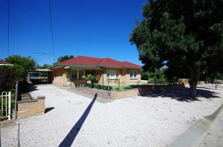 Third view of Homely house listing, 19 North Terrace, Minlaton SA 5575