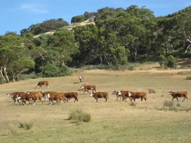 Second view of Homely land listing, Lot 300 Enterprise Road, Mount Compass SA 5210