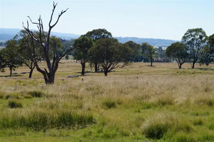 Main view of Homely land listing, Lot 813 Neagles Lane, Tenterfield NSW 2372