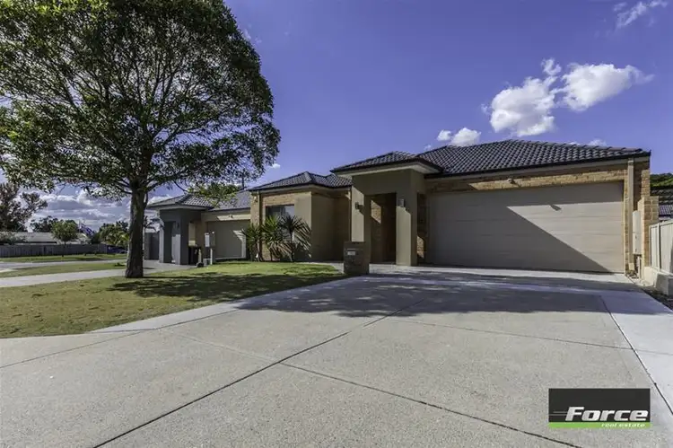 8 Durford Street, Balga WA 6061