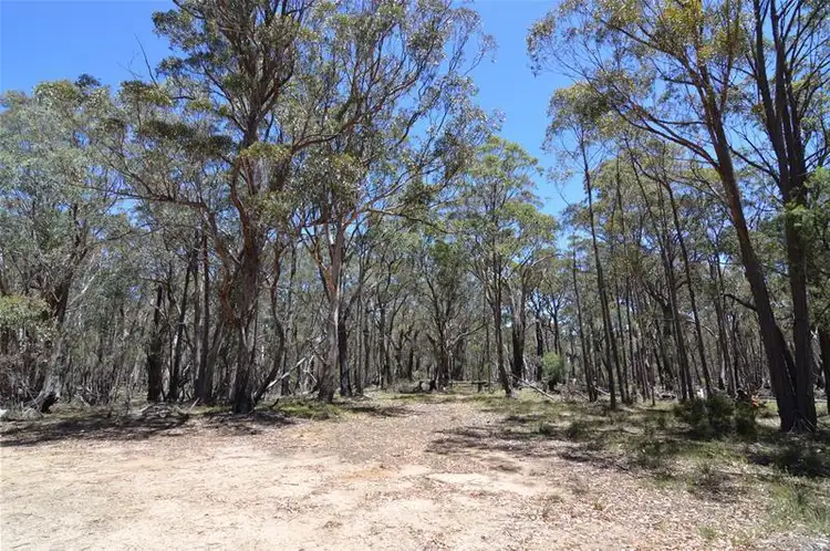 Fourth view of Homely rural property listing, 942 Mt Vincent Road, Ilford NSW 2850