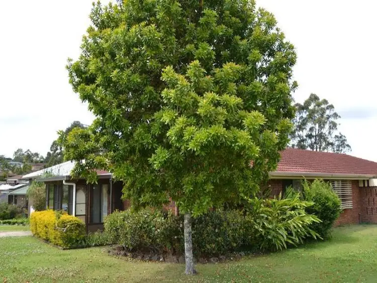 Second view of Homely unit listing, 1/14 Clifford Street, Goonellabah NSW 2480