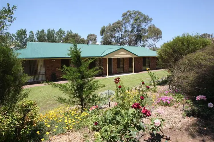 Main view of Homely house listing, 35 Petre Street, Tenterfield NSW 2372