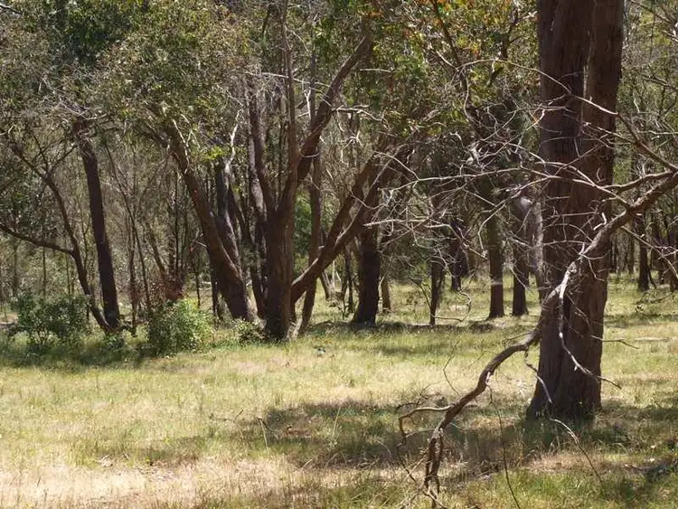 Seventh view of Homely land listing, 8 Sir Leo Curtis Drive, Wandong VIC 3758