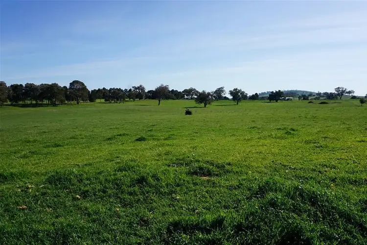 Fifth view of Homely rural property listing, 175 Carters Lane, Binalong NSW 2584