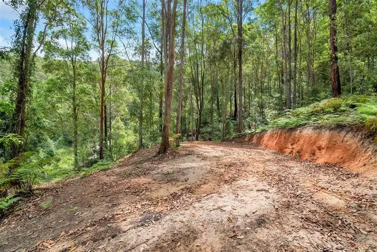 Fifth view of Homely land listing, 860 Tallebudgera Creek Road, Tallebudgera Valley QLD 4228