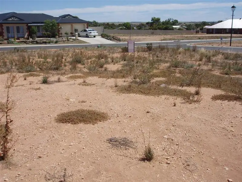 Main view of Homely land listing, 6 Mary Ann Street, Mannum SA 5238
