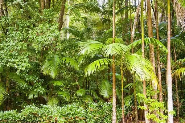 Fourth view of Homely rural property listing, Address available on request