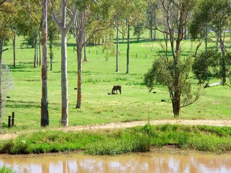 Second view of Homely rural property listing, 200 Crooks Road, Mandalong NSW 2264