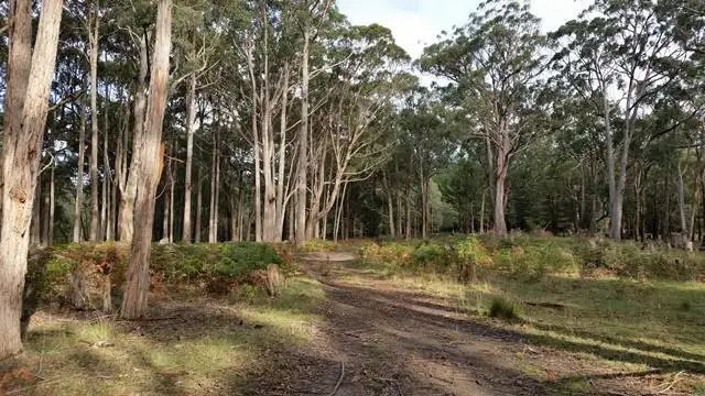 Main view of Homely land listing, Cnr Rob Roy & Abbington Park Road, Gordon VIC 3345