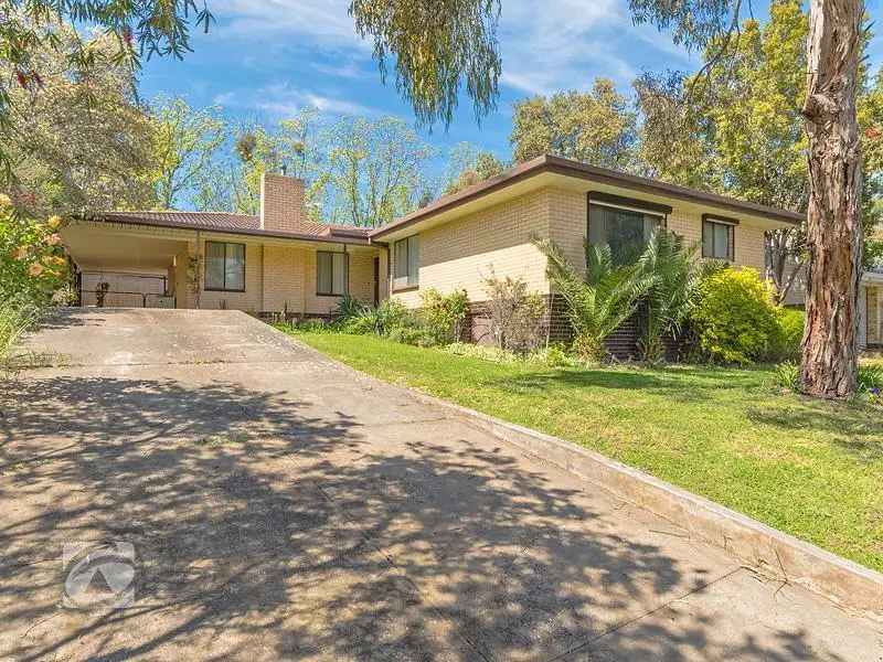 Main view of Homely house listing, 19 Mintanta Drive, Banksia Park SA 5091