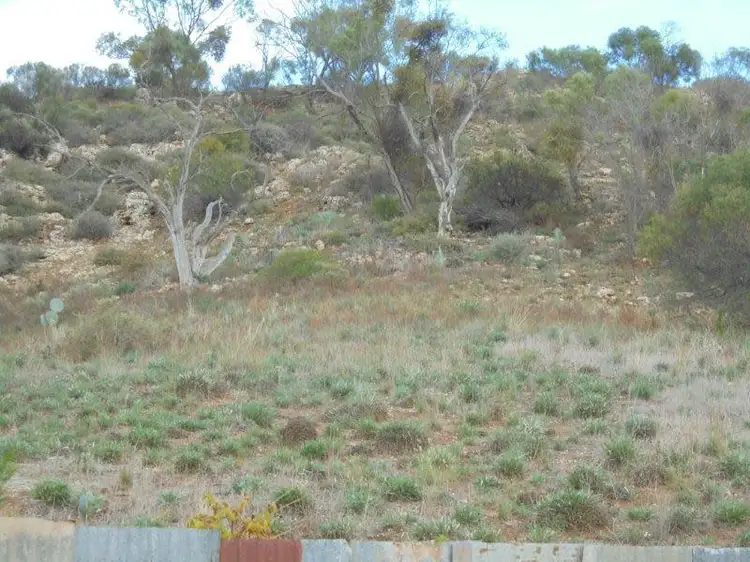 Fourth view of Homely house listing, 20 Khancoban Place, Younghusband SA 5238