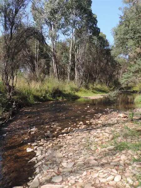 Fifth view of Homely rural property listing, CA/102C White Star Road, Wandiligong VIC 3744