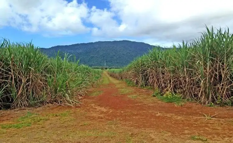 Seventh view of Homely rural property listing, 26 Munro Road, Bellenden Ker QLD 4871