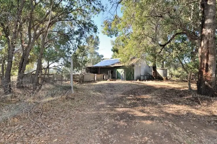 Seventh view of Homely rural property listing, 318 Berry Road, Gidgegannup WA 6083