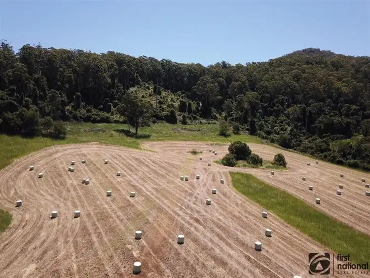 Fifth view of Homely rural property listing, 356 North Island Loop Road, Upper Orara NSW 2450