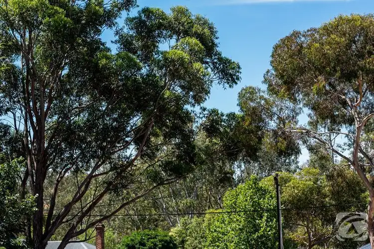 Fourth view of Homely land listing, 23 Railway Terrace, Mclaren Vale SA 5171