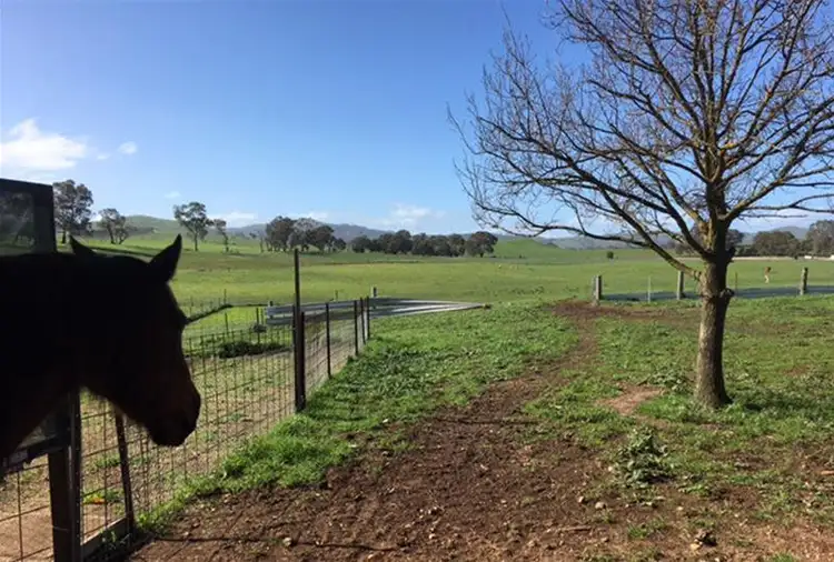 Sixth view of Homely rural property listing, 696 Ararat - St Arnaud Road, Crowlands VIC 3377