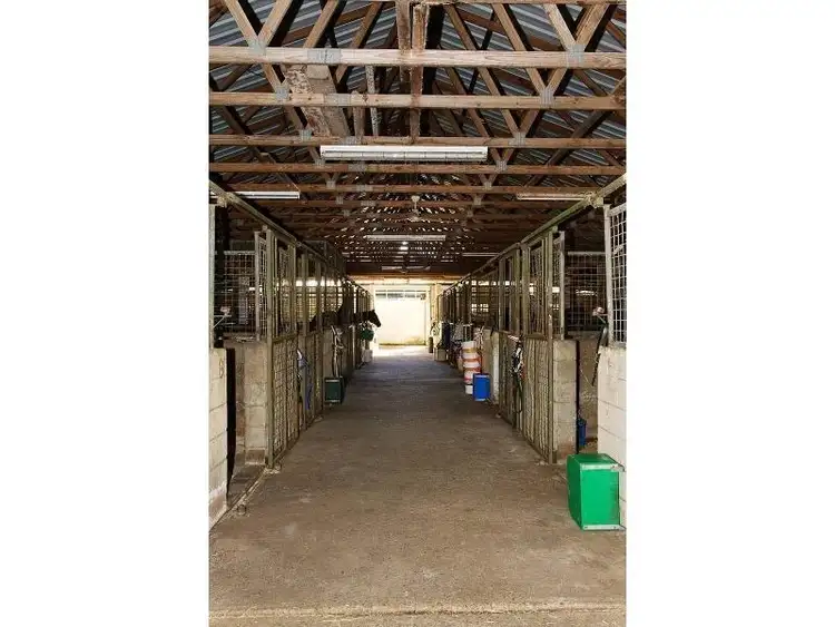 Second view of Homely house listing, 6 Waterford Court, Bundall QLD 4217