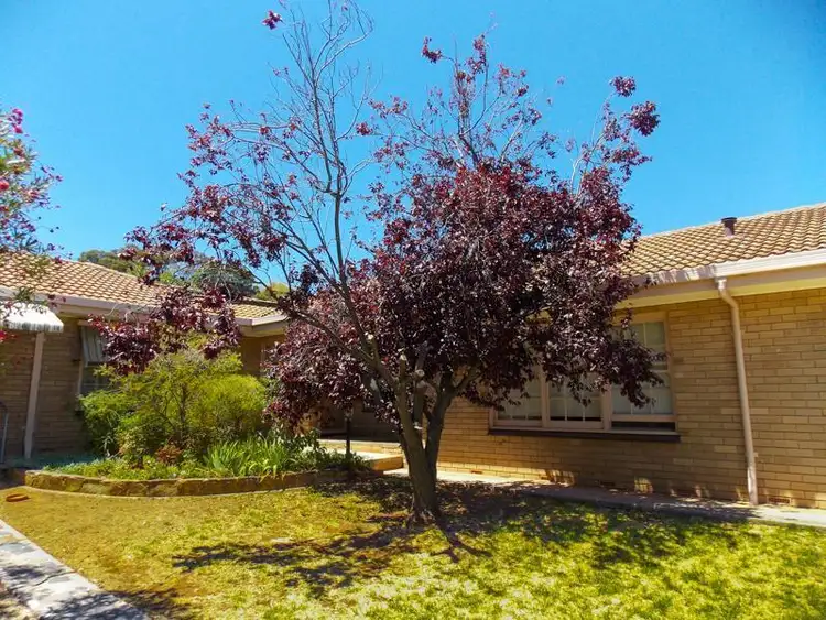 7/486 Portrush Road, Linden Park SA 5065