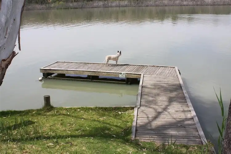 Second view of Homely house listing, 1398 East Front Road, Younghusband SA 5238