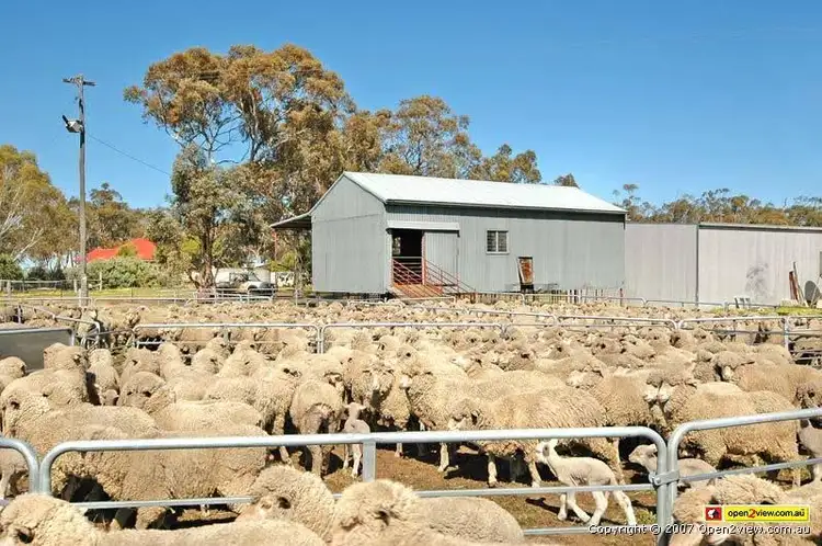 Fourth view of Homely rural property listing, 4876 Bindi Bindi -Toodyay Road, Wyening WA 6568