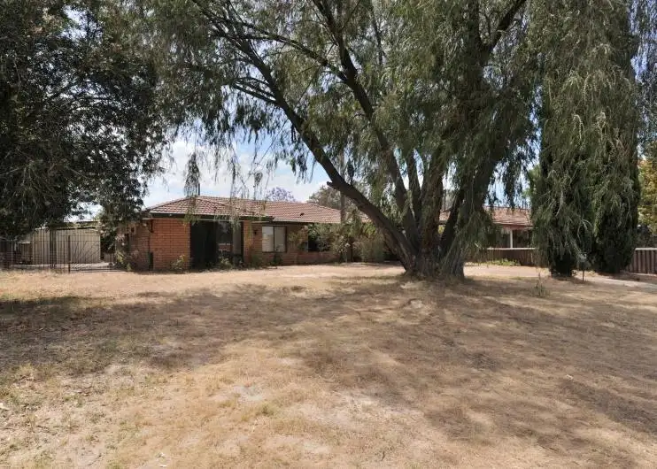 7 Leschenaultia Place, Pinjarra WA 6208
