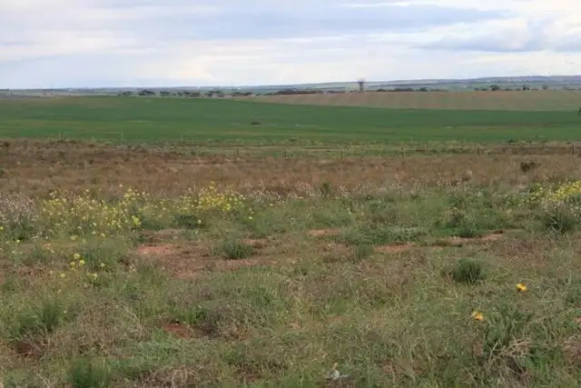 Fourth view of Homely land listing, Allotment 36 Magpie Crescent, Mannum SA 5238