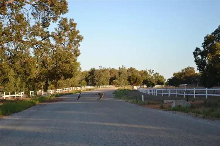 Seventh view of Homely land listing, 61 Tooday Glen, Chittering WA 6084