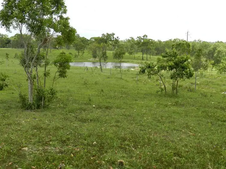 Sixth view of Homely rural property listing, 205 Ilbilbie Road, Ilbilbie QLD 4738