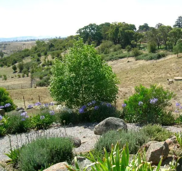 Second view of Homely house listing, 20 Irvine Drive, Yass NSW 2582