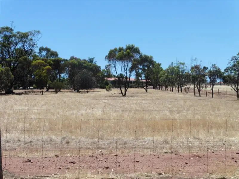 Main view of Homely house listing, 5 Moore Street, Northam WA 6401