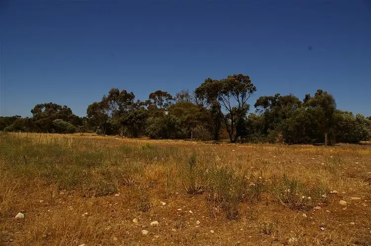 LOT 103/102 & 103 Maitland Road, Minlaton SA 5575