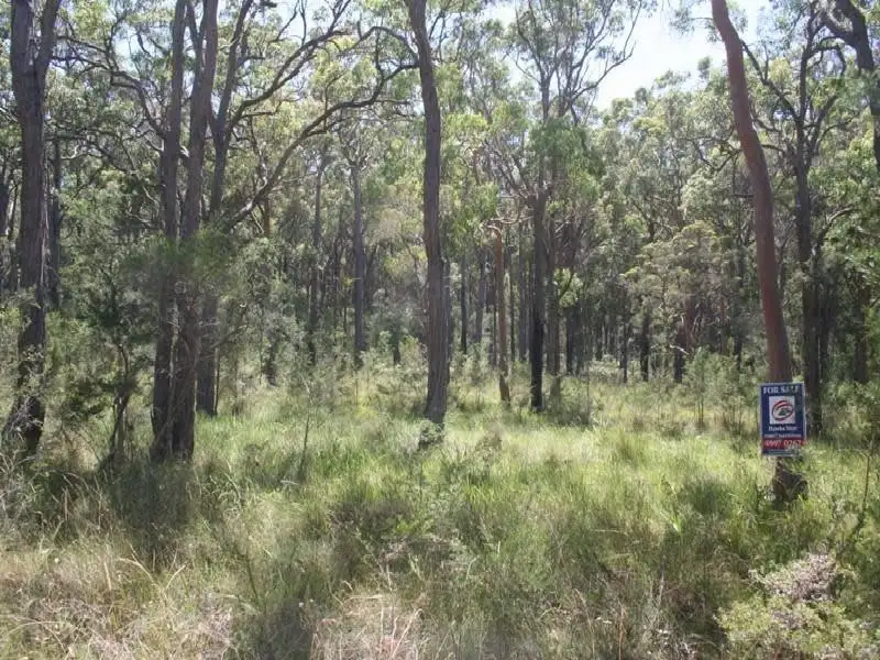 Main view of Homely land listing, 2504 Dungog Street, North Arm Cove NSW 2324