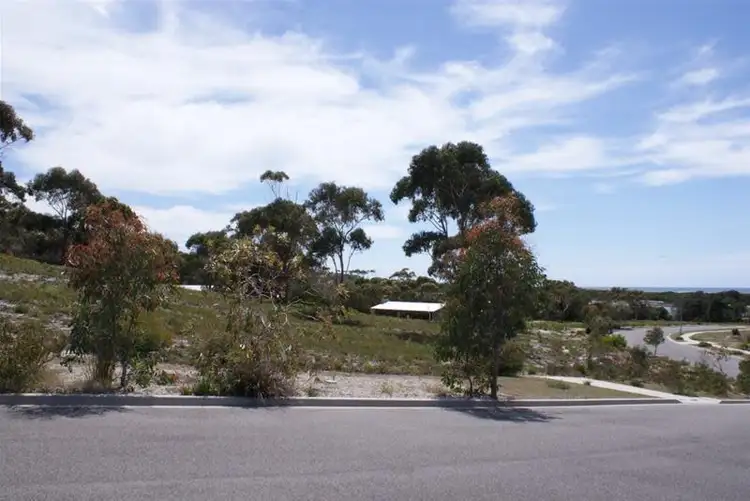 20 Wrinklers Drive, Scamander TAS 7215