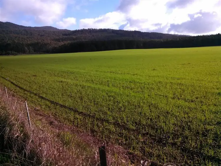 Third view of Homely rural property listing, 198 Youngman's Road, Railton TAS 7305