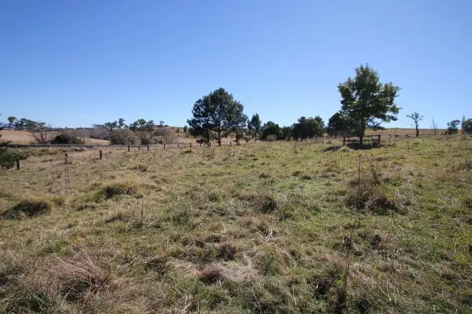 Fifth view of Homely land listing, Lots/1 Branch Creek, Tenterfield NSW 2372