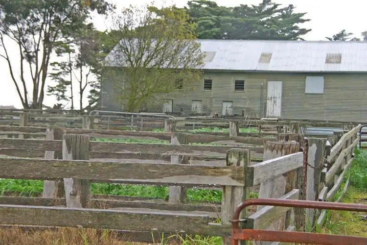 Sixth view of Homely rural property listing, 122 Cemetery Road, Wickliffe VIC 3379