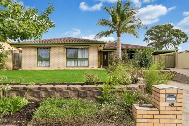 37 Casuarina Avenue, Surrey Downs SA 5126