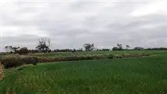 Seventh view of Homely land listing, Lot 5139 Waltham Road, Tammin WA 6409