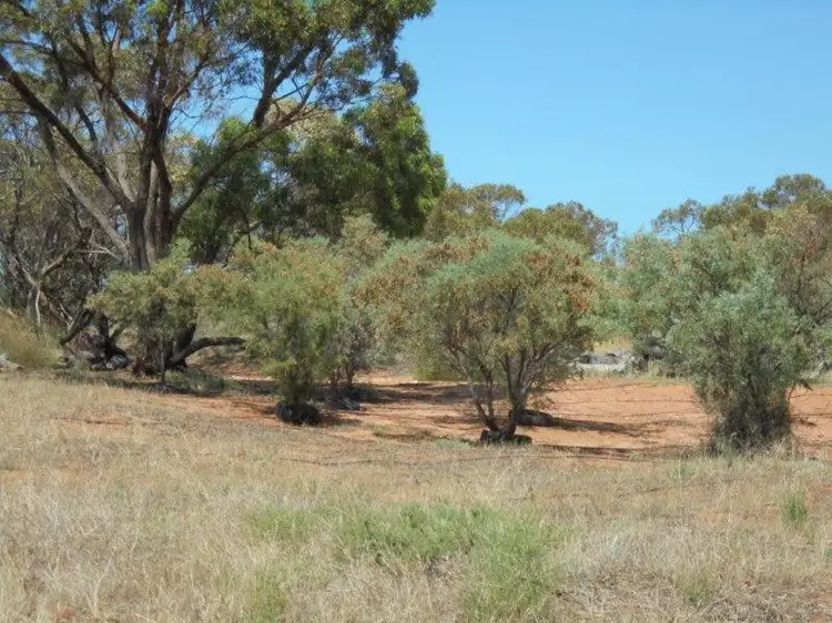 Third view of Homely land listing, Bundilla Road, Cambrai SA 5353