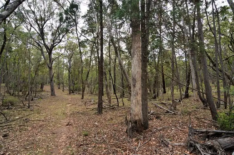 Second view of Homely rural property listing, 4481 Bylong Valley Way, Upper Growee NSW 2849