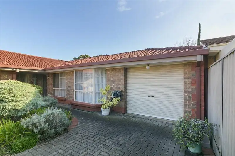 Main view of Homely house listing, 3/50 Chopin Road, Somerton Park SA 5044